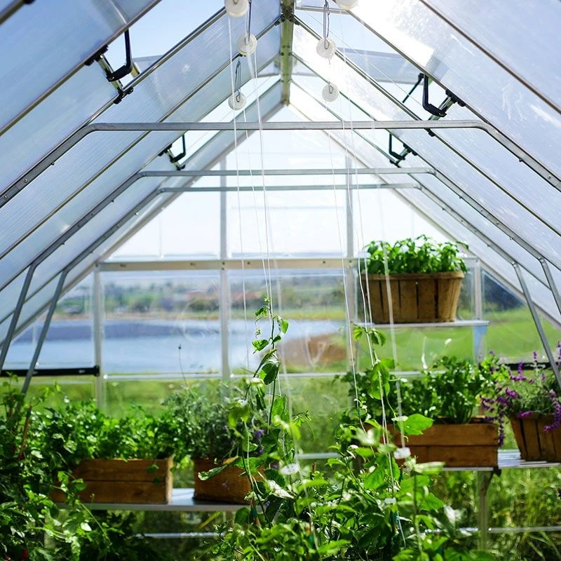 10' X 20' Palram Canopia Balance Silver Large Greenhouse (3.04m X 6.04m) 17 10' X 20' Palram Canopia Balance Silver Large Greenhouse (3.04m X 6.04m) - Image 15