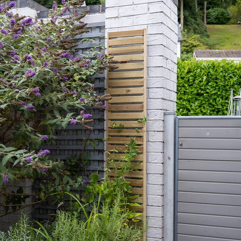 Forest 6' X 1' Pressure Treated Slatted Trellis Panel (1.8m X 0.3m) 4 Forest 6' X 1' Pressure Treated Slatted Trellis Panel (1.8m X 0.3m) - Image 2