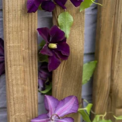 Forest 6' X 1' Pressure Treated Vertical Slatted Garden Screen Panel (1.8m X 0.3m) 11 Forest 6' X 1' Pressure Treated Vertical Slatted Garden Screen Panel (1.8m X 0.3m) -Zen Gardenia Sales 5 vslatts1 closeup min