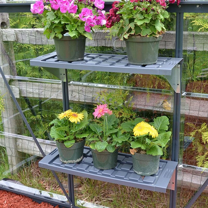 Palram Canopia Greenhouse Shelves X2 3 Palram Canopia Greenhouse Shelves X2