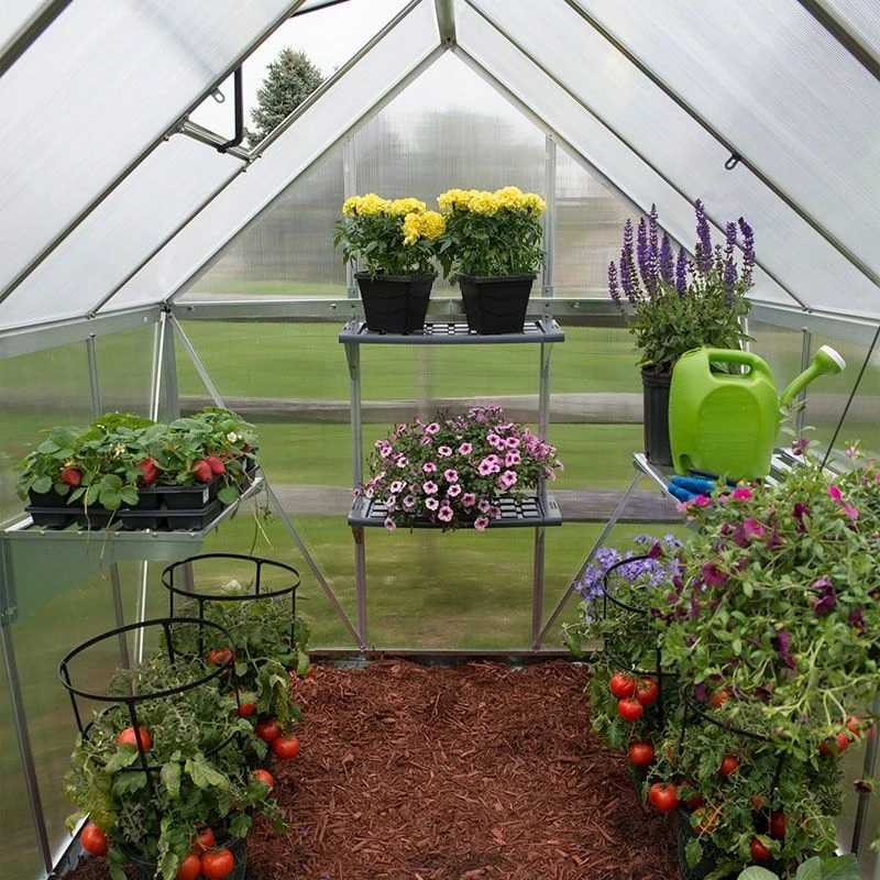 Palram Canopia Greenhouse Shelves X2 10 Palram Canopia Greenhouse Shelves X2 - Image 8