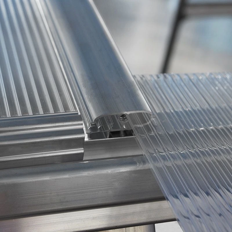 6'x12' Palram Canopia Hybrid Large Walk In Silver Polycarbonate Greenhouse (1.8x3.6m) 4 6'x12' Palram Canopia Hybrid Large Walk In Silver Polycarbonate Greenhouse (1.8x3.6m) - Image 2