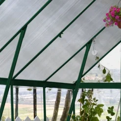 8' X 8' Palram Canopia Balance Green Greenhouse (2.47m X 2.44m) -Zen Gardenia Sales 701924 balance 8x8 green greenhouse close up5 min 1