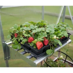 Palram Canopia Heavy Duty Greenhouse Shelving 21 Palram Canopia Heavy Duty Greenhouse Shelving -Zen Gardenia Sales 701935 palram canopia hd greenhouse shelving insitu4 min