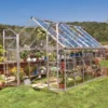 8' X 12' Palram Canopia Octave Silver Greenhouse (3.67m X 2.44m) 1 8' X 12' Palram Canopia Octave Silver Greenhouse (3.67m X 2.44m) -Zen Gardenia Sales 701942 octave 8x12 silver greenhouse insitu1 min 1