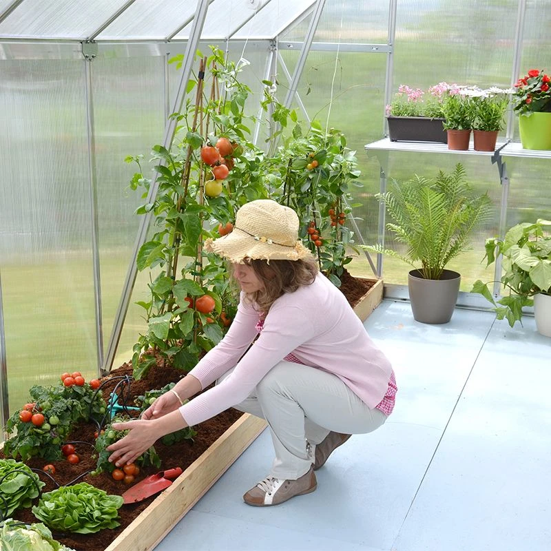 8'x12' Palram Canopia Essence Large Walk In Aluminium Framed Greenhouse (2.4x3.6m) 8 8'x12' Palram Canopia Essence Large Walk In Aluminium Framed Greenhouse (2.4x3.6m) - Image 6