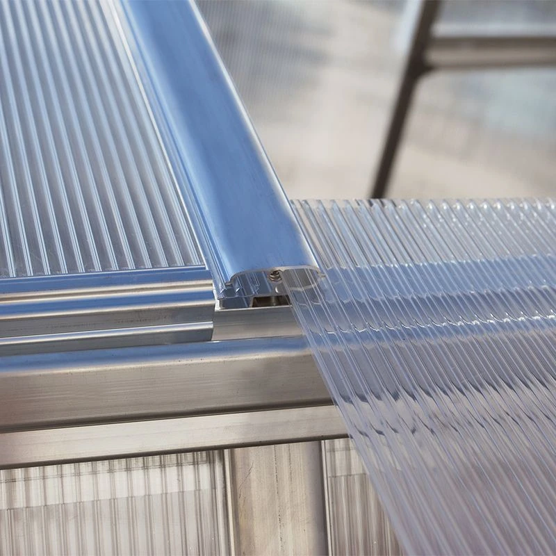 8'x12' Palram Canopia Essence Large Walk In Aluminium Framed Greenhouse (2.4x3.6m) 11 8'x12' Palram Canopia Essence Large Walk In Aluminium Framed Greenhouse (2.4x3.6m) - Image 9