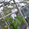Palram Canopia Greenhouse Trellis Kit