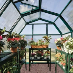 6'x10' Palram Canopia Rion EcoGrow Walk In Green Polycarbonate Greenhouse (1.8x3m) -Zen Gardenia Sales 702468 04