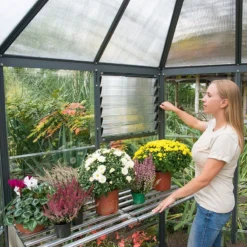 8x7 Palram Canopia Oasis Hexagonal Polycarbonate Greenhouse -Zen Gardenia Sales 704053 8ft palram oasis hexagonal polycarbonate greenhouse interior1