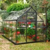 6' X 10' Palram Canopia Harmony Grey Greenhouse (1.85m X 3.06m) 1 6' X 10' Palram Canopia Harmony Grey Greenhouse (1.85m X 3.06m) -Zen Gardenia Sales 705099 harmony 6x10 grey insitu min 1