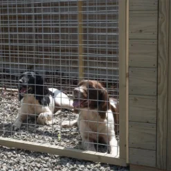 10'1 X 4'6 Forest Hedgerow Wooden Dog Kennel With 6ft Run - Pet House (3.07m X 1.38m) -Zen Gardenia Sales ahdgrun 3