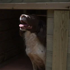 10'1 X 4'6 Forest Hedgerow Wooden Dog Kennel With 6ft Run - Pet House (3.07m X 1.38m) -Zen Gardenia Sales ahdgrun 5