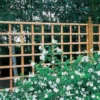 Forest 6' X 1' Heavy Duty Square Garden Trellis Fence Panel (1.83m X 0.3m) -Zen Gardenia Sales ft61 01 1