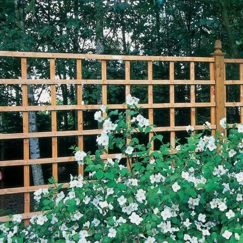 Forest 6' X 3' Heavy Duty Square Garden Trellis Fence Panel (1.83m X 0.91m) 3 Forest 6' X 3' Heavy Duty Square Garden Trellis Fence Panel (1.83m X 0.91m)