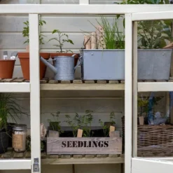 3'9 X 1'6 Forest Georgian Tall Wall Lean To Greenhouse With Auto Vent (1.19m X 0.5m) 29 3'9 X 1'6 Forest Georgian Tall Wall Lean To Greenhouse With Auto Vent (1.19m X 0.5m) -Zen Gardenia Sales georgewgh forest georgian greenhouse close up2 min