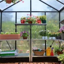 8'x8' Palram Canopia Glory Grey Walk In Polycarbonate Greenhouse (2.4x2.4m) -Zen Gardenia Sales glory 8x8 gr palram inside