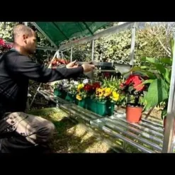 6'x8' Palram Canopia Hybrid Walk In Green Polycarbonate Greenhouse (1.8x2.4m) -Zen Gardenia Sales hqdefault 416 1