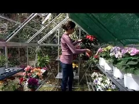 6'x10' Palram Canopia Harmony Walk In Silver Polycarbonate Greenhouse (1.8x3m) 12 6'x10' Palram Canopia Harmony Walk In Silver Polycarbonate Greenhouse (1.8x3m) - Image 10