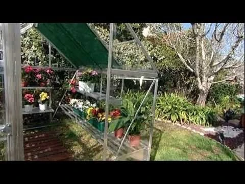 Palram Canopia Greenhouse Shelves X2 6 Palram Canopia Greenhouse Shelves X2 - Image 4