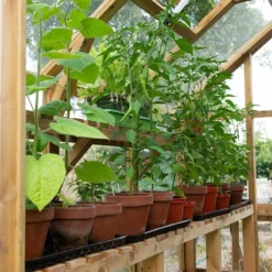 8'x6' Forest Vale Victorian Wooden Greenhouse (2.4x1.8m) - Installation Included 15 8'x6' Forest Vale Victorian Wooden Greenhouse (2.4x1.8m) - Installation Included -Zen Gardenia Sales m8x6ghin3 min