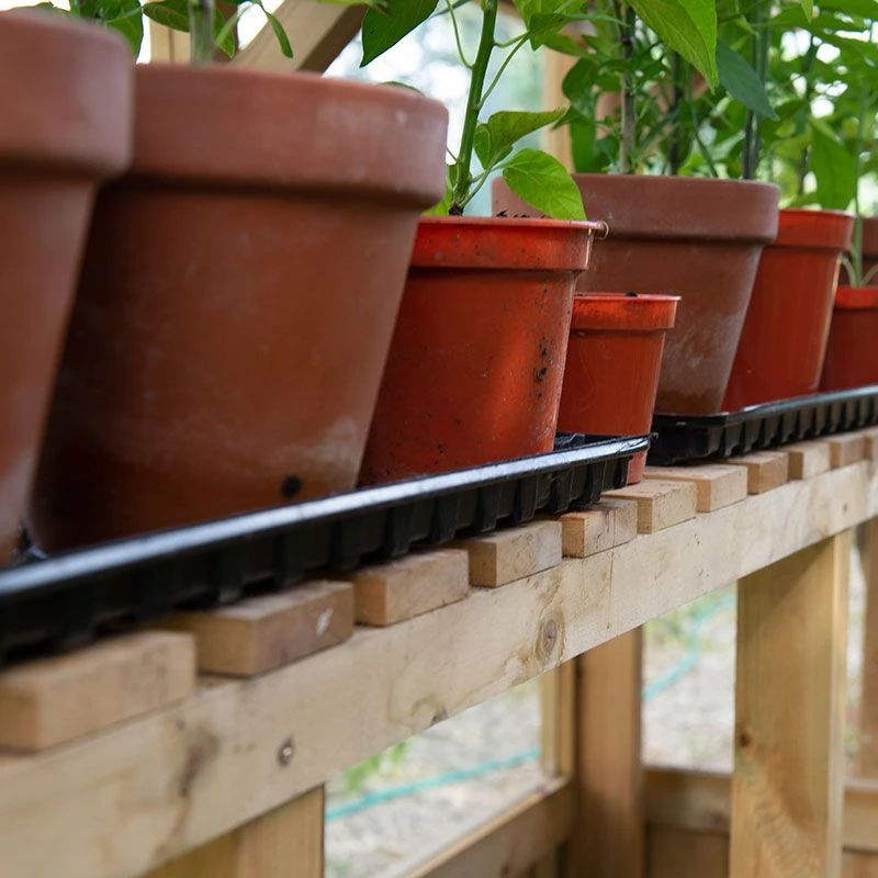 8'x6' Forest Vale Victorian Wooden Greenhouse (2.4x1.8m) - Installation Included 9 8'x6' Forest Vale Victorian Wooden Greenhouse (2.4x1.8m) - Installation Included - Image 7