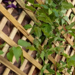 2'7 X 1'4 Forest Trellis Wooden Garden Planter (0.8m X 0.4m) -Zen Gardenia Sales tpla 3