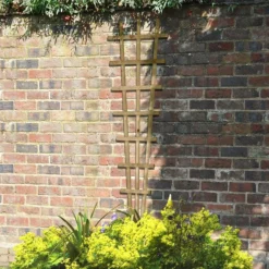 6' X 2' Forest Traditional Pressure Treated Fan Trellis (1.8m X 0.6m) -Zen Gardenia Sales tradf62v3 6x2 forest traditional fan trellis insitu2 min