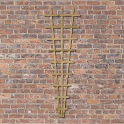 6' X 2' Forest Traditional Pressure Treated Fan Trellis (1.8m X 0.6m) -Zen Gardenia Sales tradf62v3 6x2 forest traditional fan trellis insitu3 min