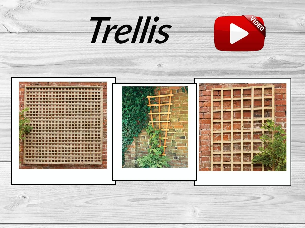 Forest 6' X 4' Premium Framed Decorative Square Garden Trellis (1.8m X 1.2m) 6 Forest 6' X 4' Premium Framed Decorative Square Garden Trellis (1.8m X 1.2m) - Image 4