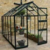 6' X 8' Halls Cotswold Burford Small Greenhouse In Black With Toughened Glass (1.94m X 2.56m) 2 6' X 8' Halls Cotswold Burford Small Greenhouse In Black With Toughened Glass (1.94m X 2.56m) -Zen Gardenia Sales v01608 eden burford 6x8 small greenhouse black main min