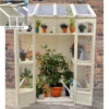 5'x2' Forest Victorian Tall Wall Greenhouse With Auto Vent (1.47x0.72m) 2 5'x2' Forest Victorian Tall Wall Greenhouse With Auto Vent (1.47x0.72m) -Zen Gardenia Sales victgh with autovent